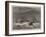 Wrecks on the Coast of Lapland, in the White Sea-null-Framed Giclee Print