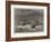 Wrecks on the Coast of Lapland, in the White Sea-null-Framed Giclee Print