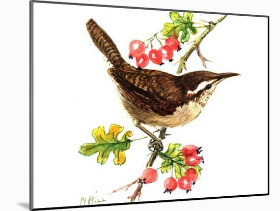 Wren and Rosehips-Nell Hill-Mounted Giclee Print