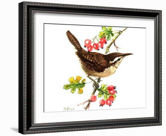 Wren and Rosehips-Nell Hill-Framed Giclee Print