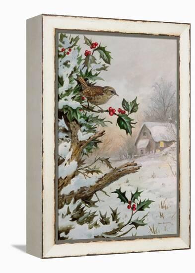 Wren in Hollybush by a cottage-Carl Donner-Framed Premier Image Canvas