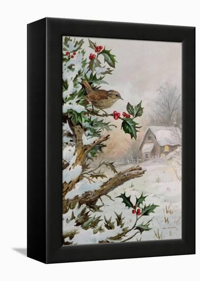 Wren in Hollybush by a cottage-Carl Donner-Framed Premier Image Canvas