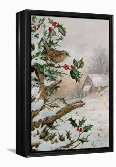 Wren in Hollybush by a cottage-Carl Donner-Framed Premier Image Canvas