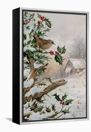 Wren in Hollybush by a cottage-Carl Donner-Framed Premier Image Canvas