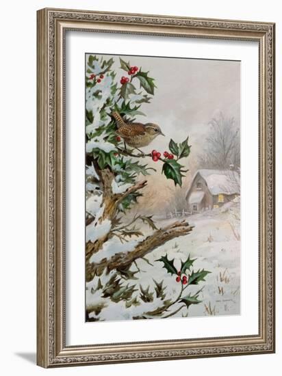 Wren in Hollybush by a cottage-Carl Donner-Framed Giclee Print