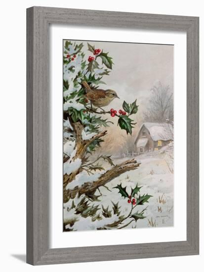 Wren in Hollybush by a cottage-Carl Donner-Framed Giclee Print