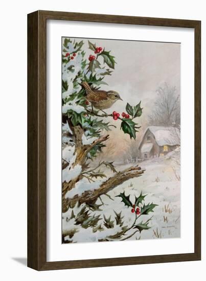 Wren in Hollybush by a cottage-Carl Donner-Framed Giclee Print