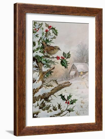 Wren in Hollybush by a cottage-Carl Donner-Framed Giclee Print