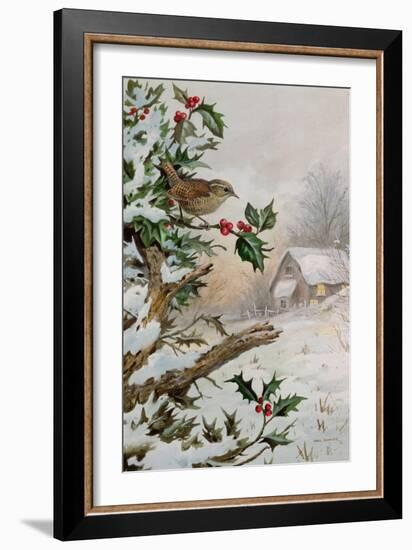 Wren in Hollybush by a cottage-Carl Donner-Framed Giclee Print