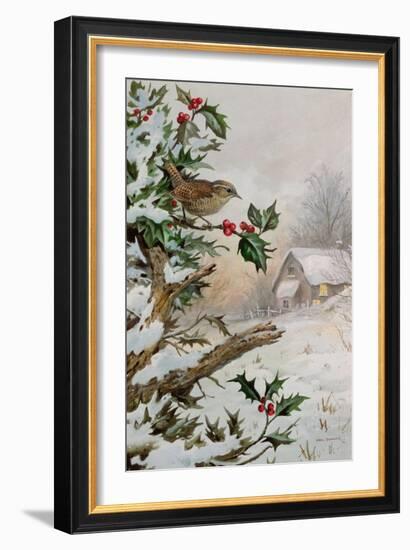 Wren in Hollybush by a cottage-Carl Donner-Framed Giclee Print