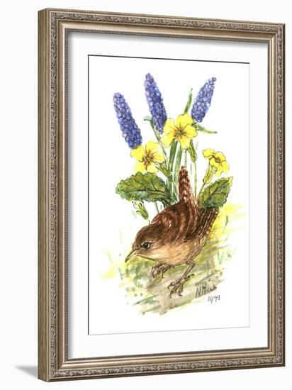 Wren in Primroses-Nell Hill-Framed Giclee Print