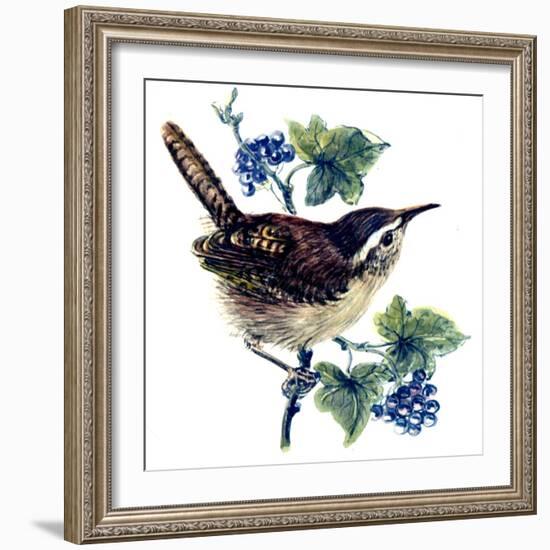 Wren in the Ivy-Nell Hill-Framed Giclee Print