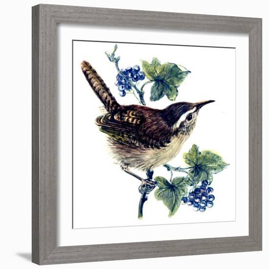 Wren in the Ivy-Nell Hill-Framed Giclee Print