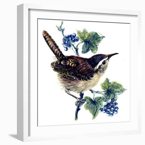 Wren in the Ivy-Nell Hill-Framed Giclee Print