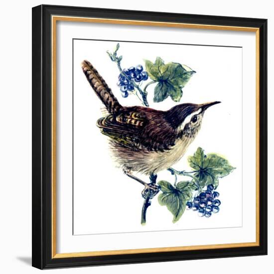 Wren in the Ivy-Nell Hill-Framed Giclee Print