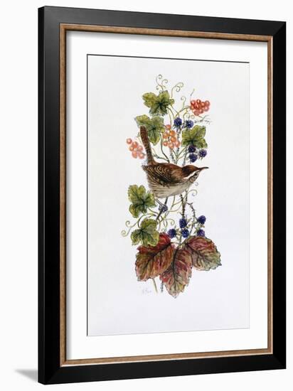 Wren on a Spray of Berries-Nell Hill-Framed Giclee Print