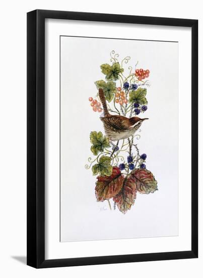 Wren on a Spray of Berries-Nell Hill-Framed Giclee Print