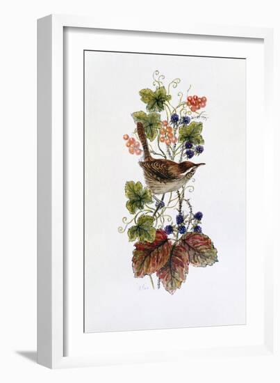 Wren on a Spray of Berries-Nell Hill-Framed Giclee Print