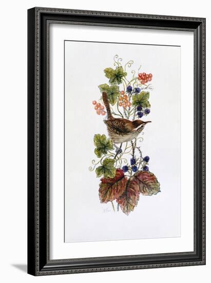 Wren on a Spray of Berries-Nell Hill-Framed Giclee Print