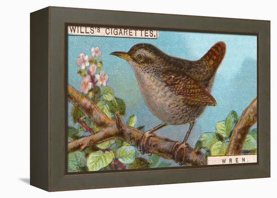 Wren-null-Framed Premier Image Canvas