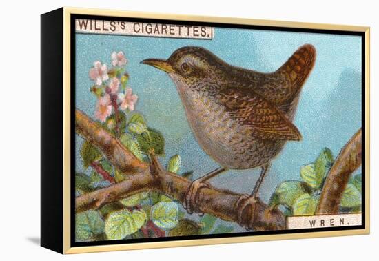 Wren-null-Framed Premier Image Canvas