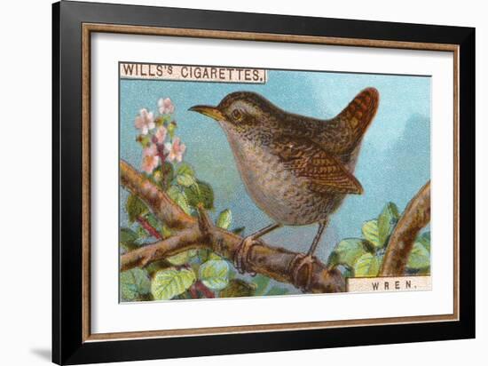 Wren-null-Framed Giclee Print