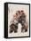 Wrestle-Mark Adlington-Framed Premier Image Canvas