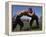 Wrestlers, Antalya Region, Anatolia, Turkey-Bruno Morandi-Framed Premier Image Canvas