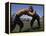 Wrestlers, Antalya Region, Anatolia, Turkey-Bruno Morandi-Framed Premier Image Canvas