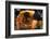 Wrestlers Wayne Wells and Ali Demirtas in Action at the Summer Olympics-Co Rentmeester-Framed Photographic Print