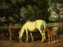 A Mare and her Foal at a Ford-Wright Barker-Giclee Print