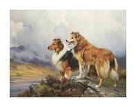 A Mare and her Foal at a Ford-Wright Barker-Giclee Print