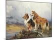 Premium Giclee Print