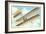 Wright Brothers Bi-plane-null-Framed Art Print