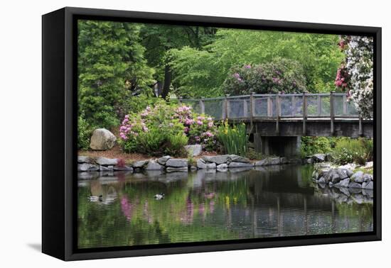 Wright Park, Tacoma, Washington State, United States of America, North America-Richard Cummins-Framed Premier Image Canvas