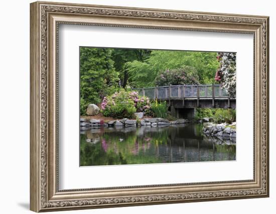 Wright Park, Tacoma, Washington State, United States of America, North America-Richard Cummins-Framed Photographic Print