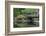 Wright Park, Tacoma, Washington State, United States of America, North America-Richard Cummins-Framed Photographic Print