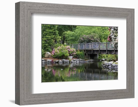 Wright Park, Tacoma, Washington State, United States of America, North America-Richard Cummins-Framed Photographic Print