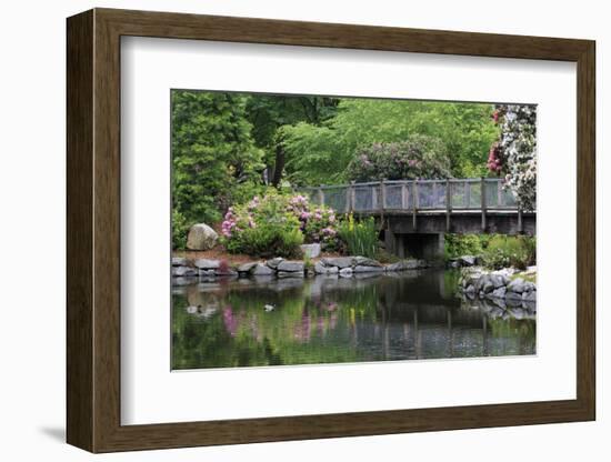 Wright Park, Tacoma, Washington State, United States of America, North America-Richard Cummins-Framed Photographic Print