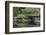 Wright Park, Tacoma, Washington State, United States of America, North America-Richard Cummins-Framed Photographic Print