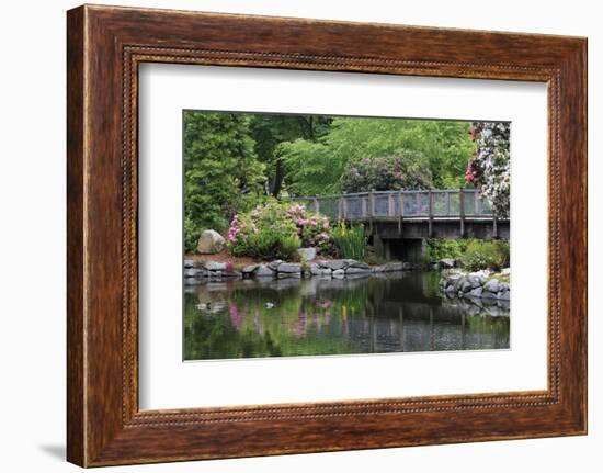 Wright Park, Tacoma, Washington State, United States of America, North America-Richard Cummins-Framed Photographic Print