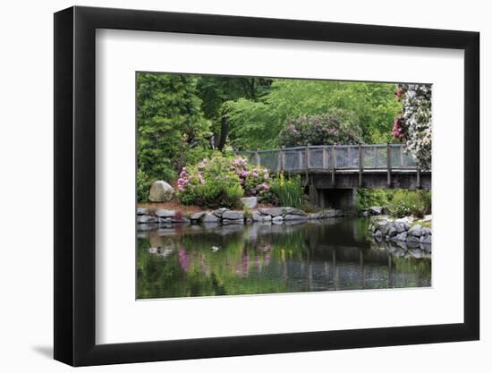 Wright Park, Tacoma, Washington State, United States of America, North America-Richard Cummins-Framed Photographic Print