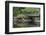 Wright Park, Tacoma, Washington State, United States of America, North America-Richard Cummins-Framed Photographic Print