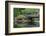 Wright Park, Tacoma, Washington State, United States of America, North America-Richard Cummins-Framed Photographic Print