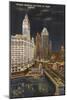 Wrigley Building at Night, Chicago, Illinois-null-Mounted Art Print