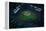 Wrigley Field from Overhead-null-Framed Premier Image Canvas