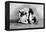 Wrist Roll: Russian Wrestlers-null-Framed Stretched Canvas