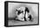 Wrist Roll: Russian Wrestlers-null-Framed Stretched Canvas