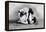 Wrist Roll: Russian Wrestlers-null-Framed Stretched Canvas