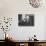 Writer Dashiell Hammett Smoking a Cigarette-Paul Dorsey-Premium Photographic Print displayed on a wall